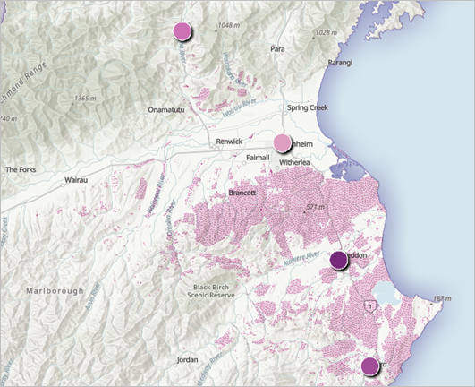 Summarized areas of Nassella tussock sightings within a 1.5 kilometer distance of the campground